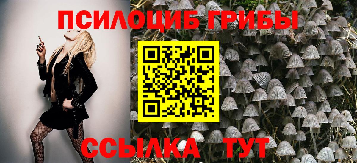 Псилоцибиновые грибы GOLDEN TEACHER  как найти закладки  Магнитогорск  Вход с VPN  Псилоцибиновые грибы мицелий 