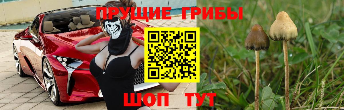 Галлюциногенные грибы GOLDEN TEACHER Магнитогорск